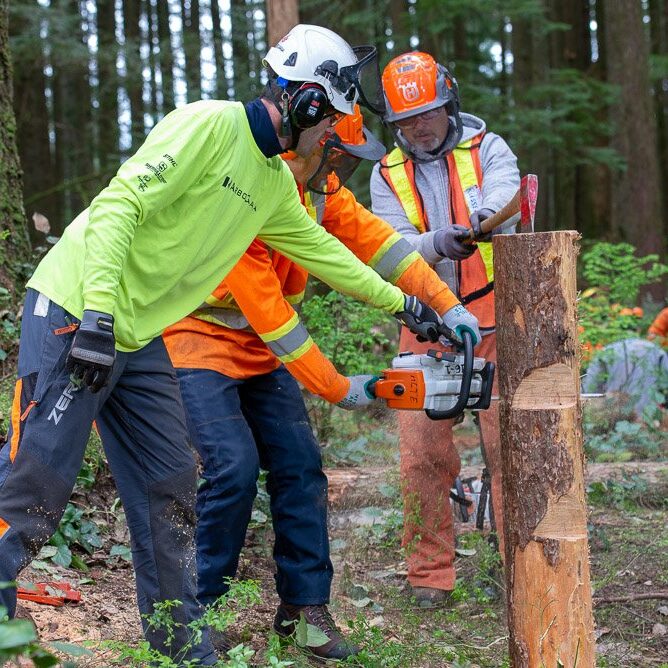 Three men with a chainsaw making cuts into woood